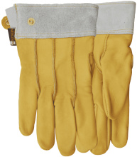 Watson Gloves 421-08 - OLD TIMER FULLGRAIN COW CLUTE CUT SNAP CLOSURE DRIVER - 08