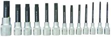 Bondhus 44037-BON - BONDHUS 13PC 2" PROHOLD® STAR BIT SET (T8 - T60)